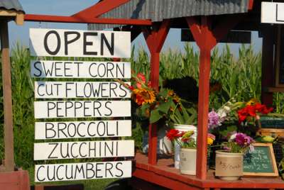 veg.stand